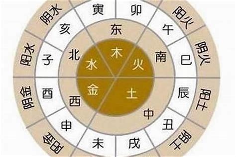 金土命|五行查询